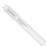 Ledvance Tube LED T8 Value (UN) High Output 8W 800lm - 830 Blanc Chaud | 60cm - Équivalent 18W
