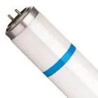 Philips TL-D MASTER Secura Actinic BL 15W - Blacklight | 44cm