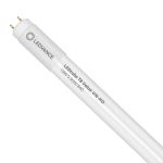 Ledvance LED Buis T8 Value (UN) High Output 18W 2000lm - 840 Koel Wit | 120cm - Vervangt 36W